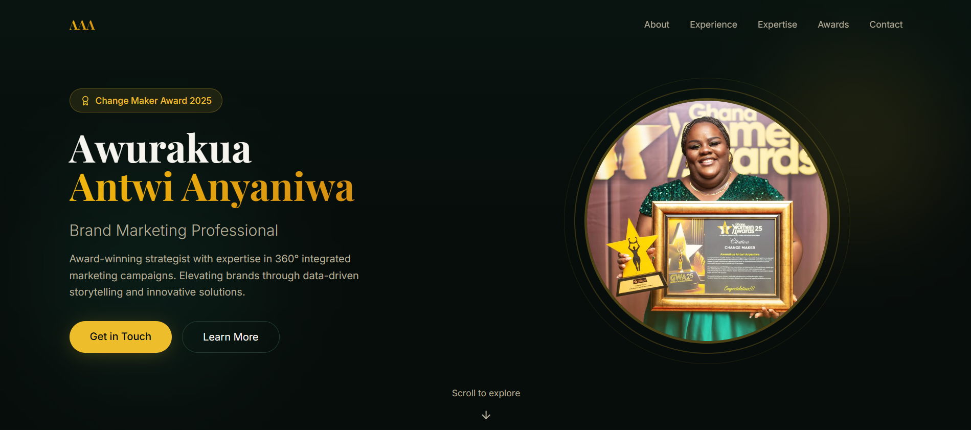 Website Portfolio Branding (1)