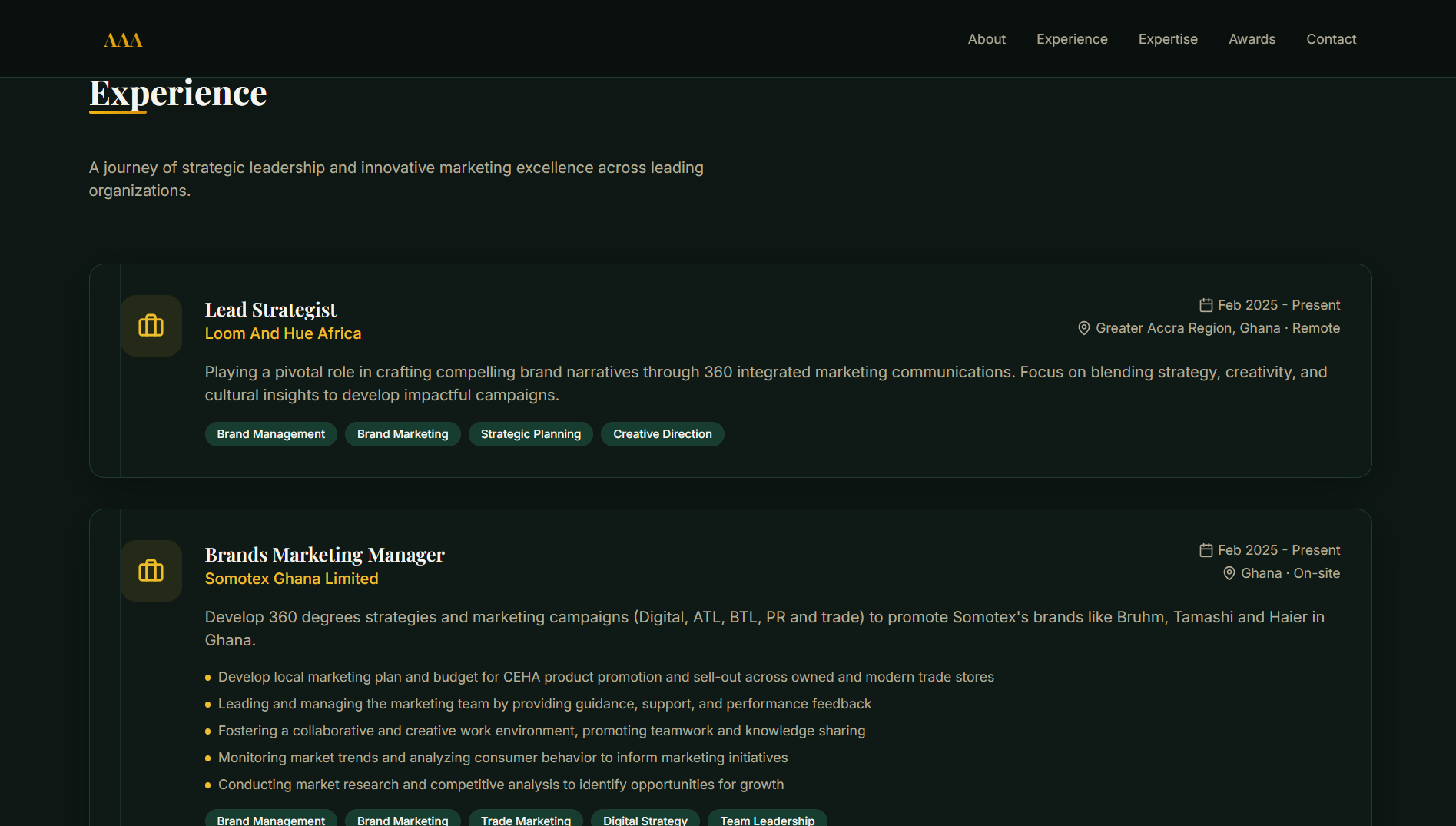 Website Portfolio Branding (3)